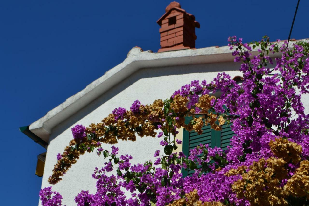 House Niva Apartment Supetarska Draga Luaran gambar
